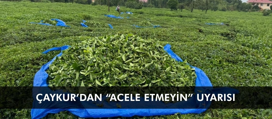 ÇAYKUR’dan “acele etmeyin” uyarısı