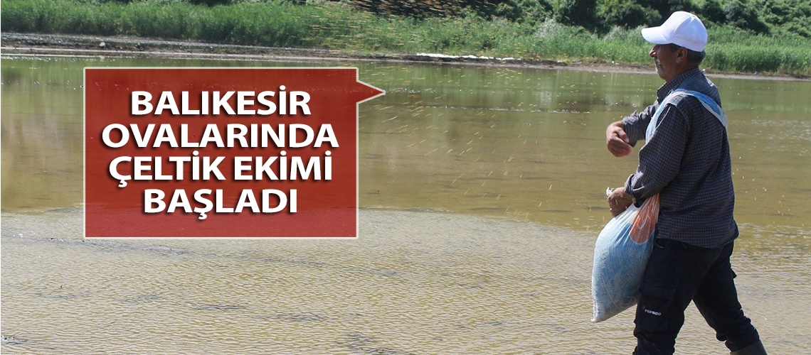 Balıkesir ovalarında çeltik ekimi başladı