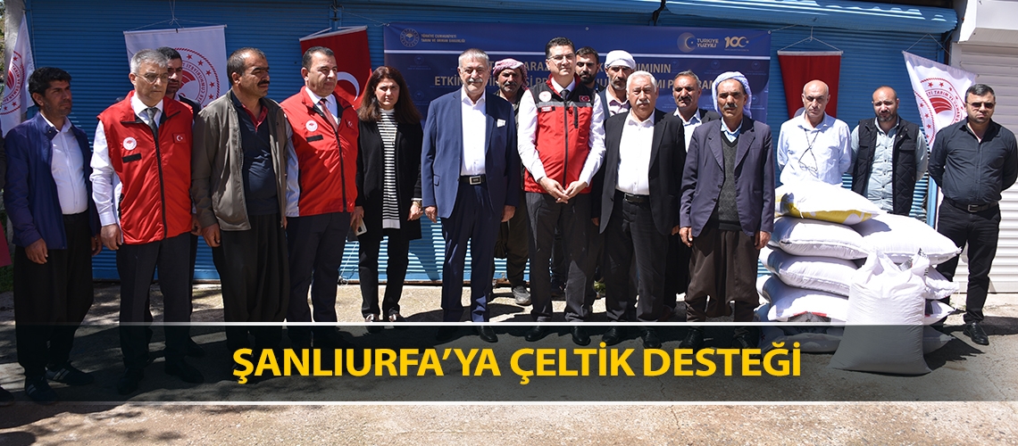 Şanlıurfa’ya çeltik desteği
