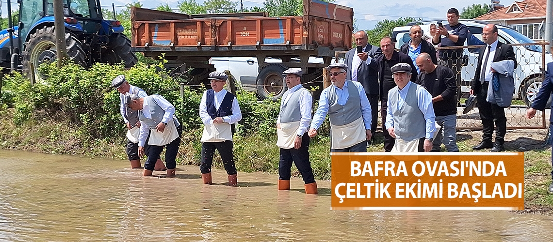 Bafra Ovası'nda çeltik ekimi başladı