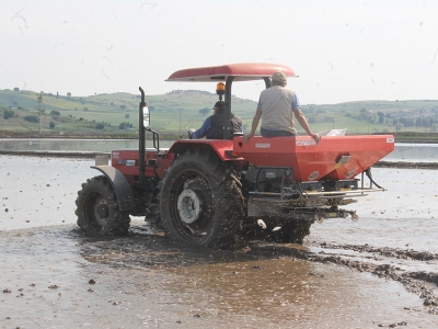 Balıkesir ovalarında çeltik ekimi başladı