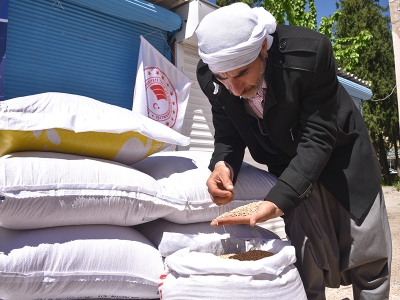 Şanlıurfa’ya çeltik desteği