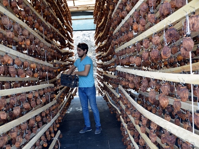 Yaşı 1, kurusu 23 lira