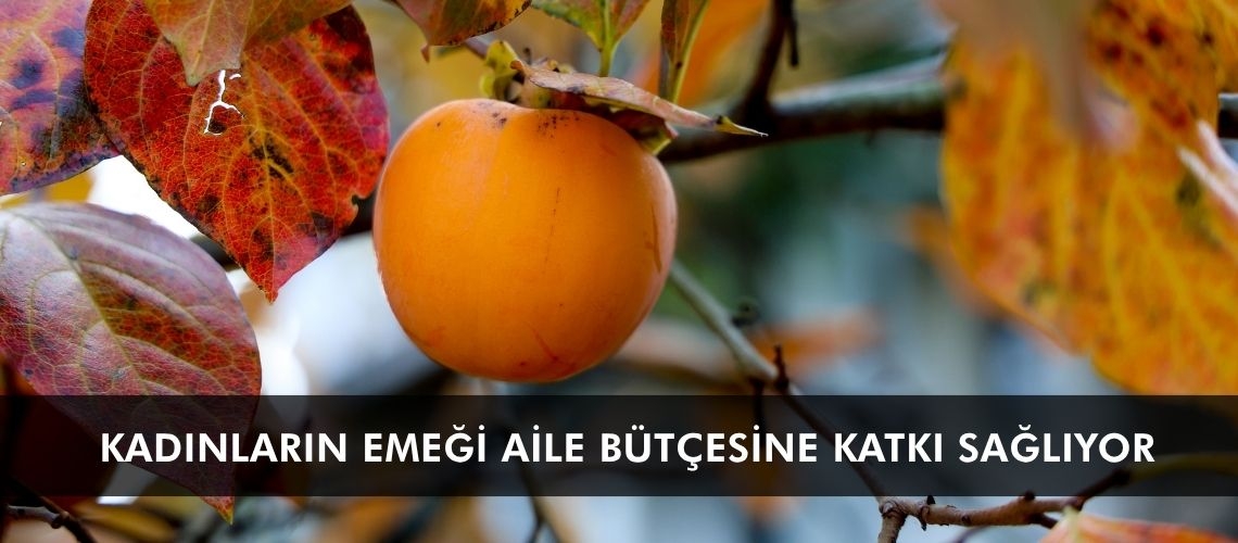 Kadınların emeği aile bütçesine katkı sağlıyor