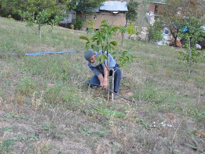 Gümüşhane Ceviz Vadisi olma yolunda ilerliyor