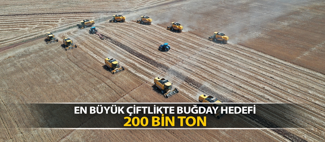 En büyük çiftlikte buğday hedefi 200 bin ton