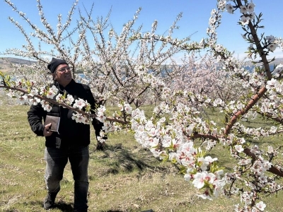 Çiçeklerin güzelliği bereketli sezonu müjdeliyor