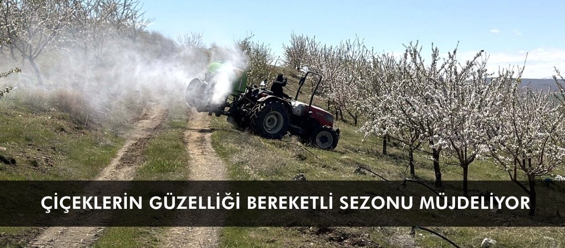 Çiçeklerin güzelliği bereketli sezonu müjdeliyor