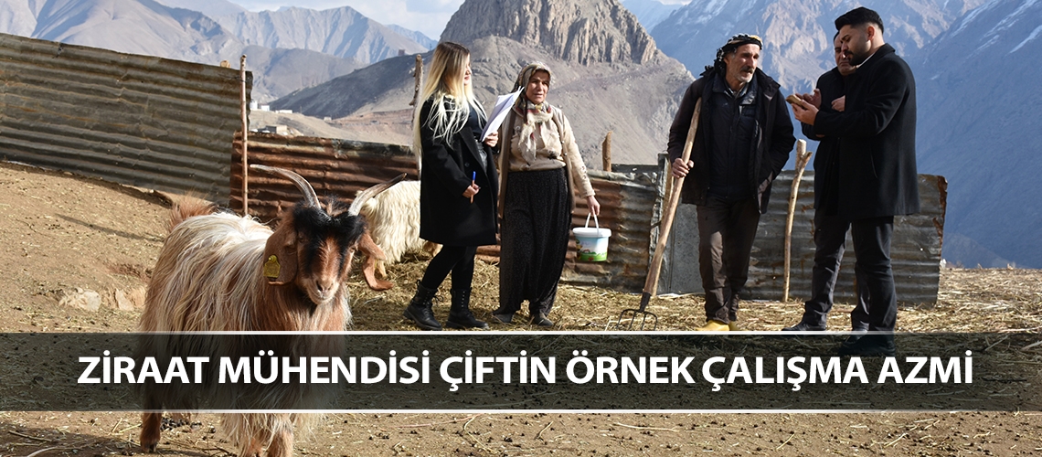 Ziraat mühendisi çiftin örnek çalışma azmi