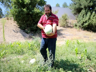Yakınlarını kanserden kaybedince organik üretime yöneldi