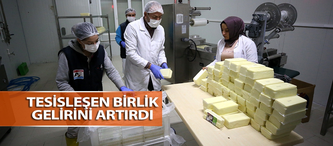 Tesisleşen birlik gelirini artırdı