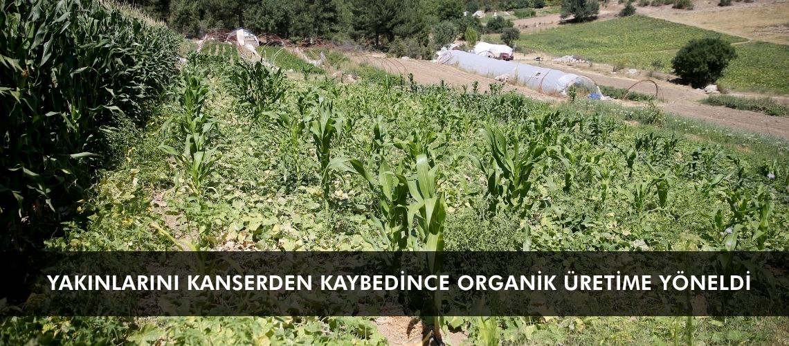 Yakınlarını kanserden kaybedince organik üretime yöneldi
