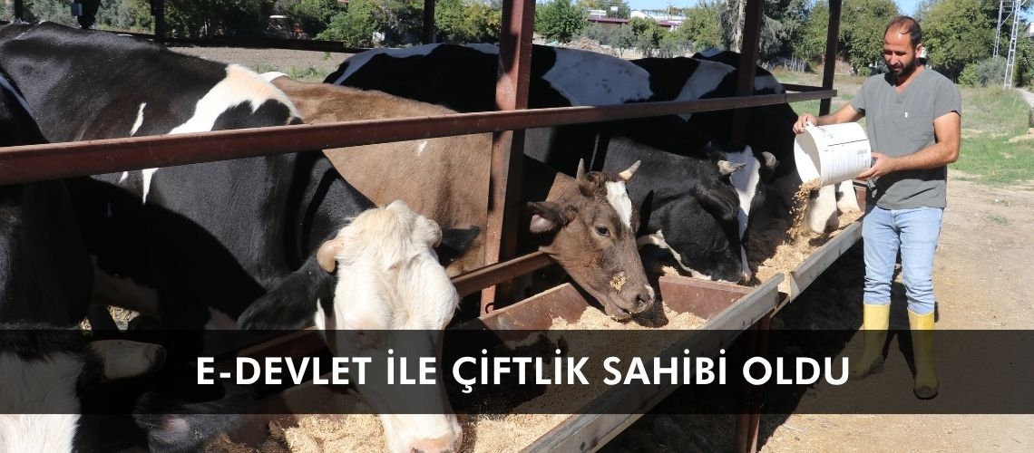 e-devlet ile çiftlik sahibi oldu