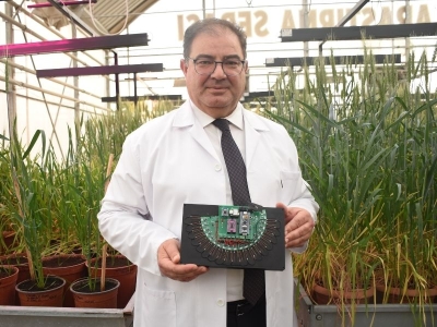 Buğday kök açılarını ölçen cihaz geliştirildi