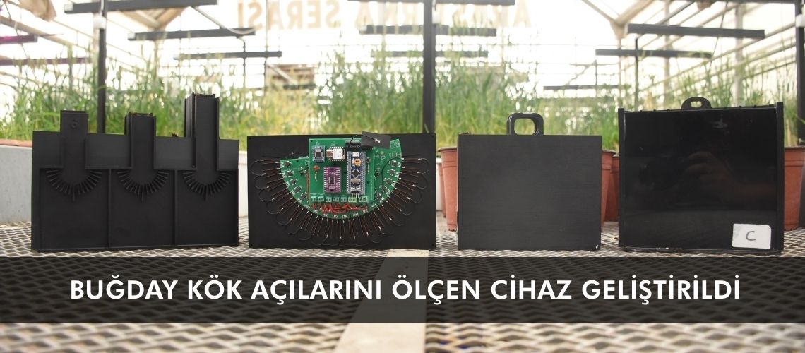 Buğday kök açılarını ölçen cihaz geliştirildi