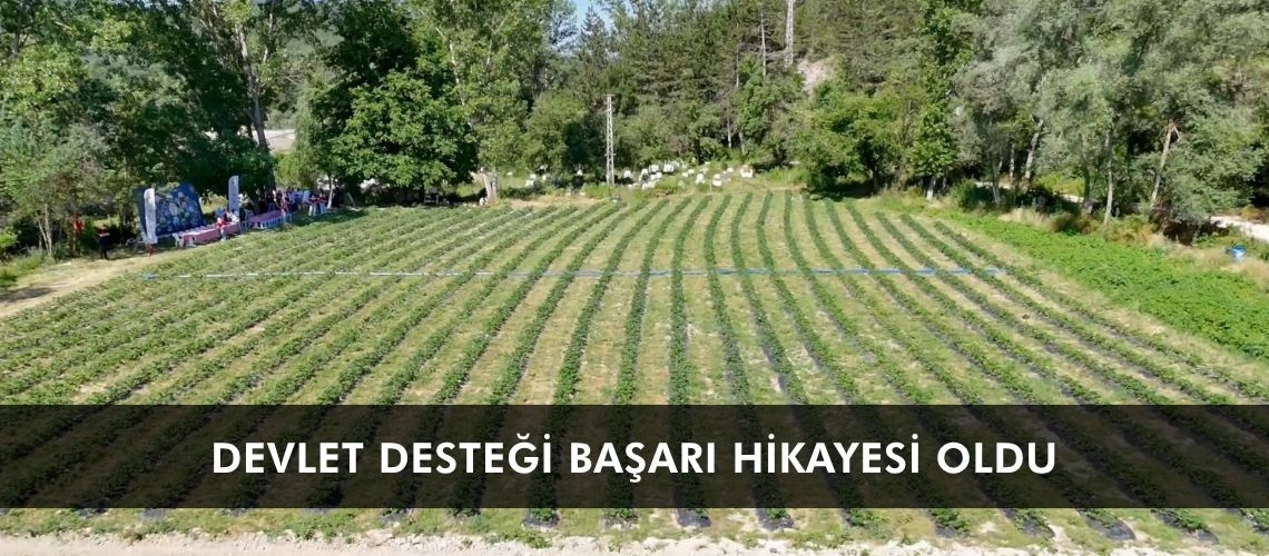 Devlet desteği başarı hikayesi oldu