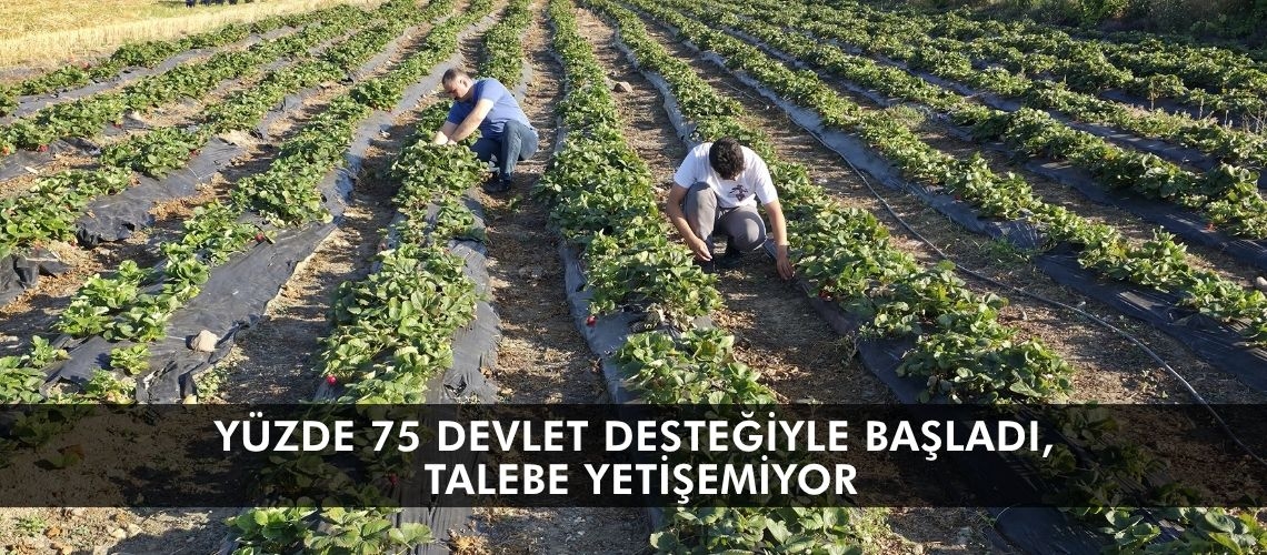 Yüzde 75 devlet desteğiyle başladı, talebe yetişemiyor