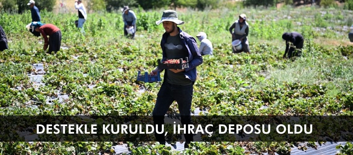Destekle kuruldu, ihraç deposu oldu