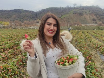 Sason çileği dört mevsim verimli