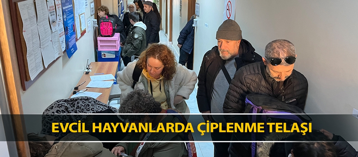 Evcil hayvanlarda çiplenme telaşı