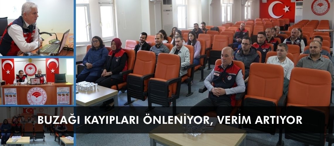 Buzağı kayıpları önleniyor, verim artıyor