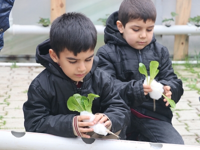 Çocuklar topraksız tarımı öğreniyor