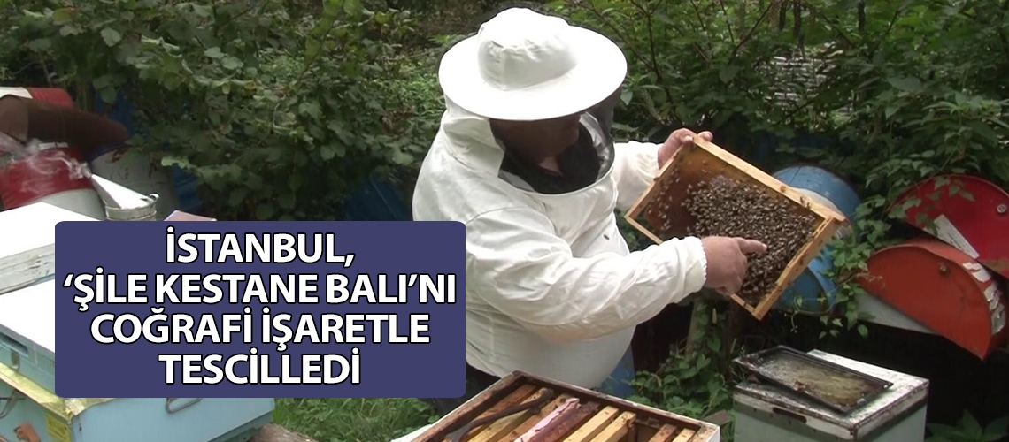 İstanbul, ‘Şile kestane balı’nı coğrafi işaretle tescilledi