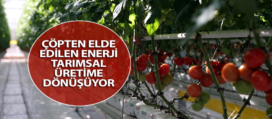 Çöpten elde edilen enerji tarımsal üretime dönüşüyor
