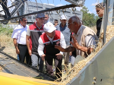 Çorum'da planlı üretimli kanolada ilk hasat sevinci