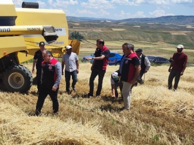 Çorum’da ilk hasat törenle yapıldı