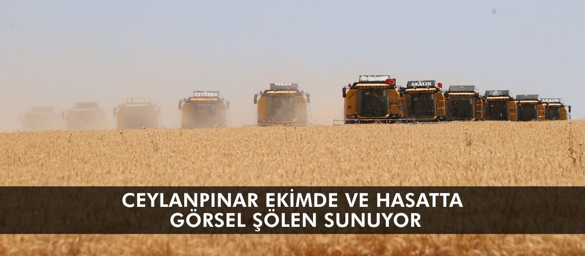 Ceylanpınar ekimde ve hasatta görsel şölen sunuyor
