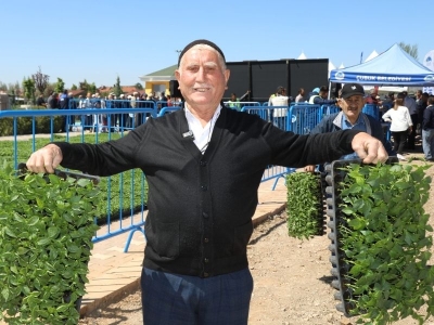 Çubuk’ta çiftçilere sebze fidesi desteği