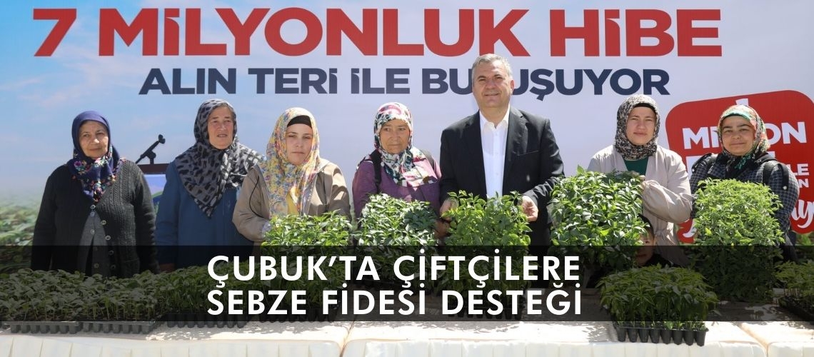 Çubuk’ta çiftçilere sebze fidesi desteği