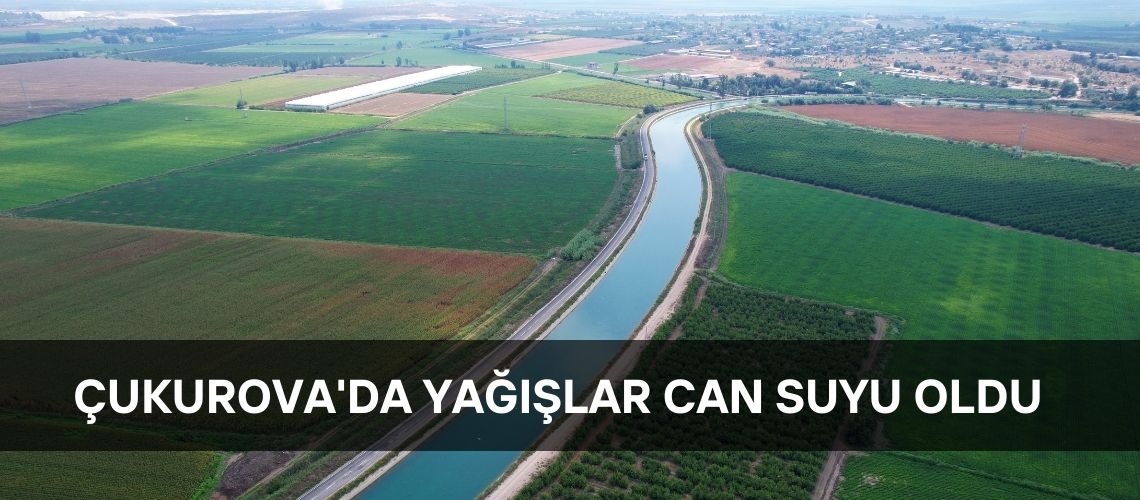 Çukurova'da yağışlar can suyu oldu