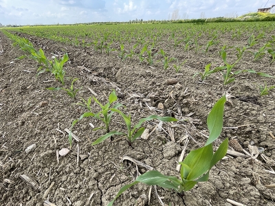 “Daha az su tüketen ürünler ekilmeli”