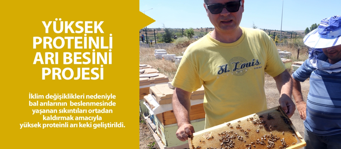 Bu kek arıların kışa güçlü girmesini sağladı