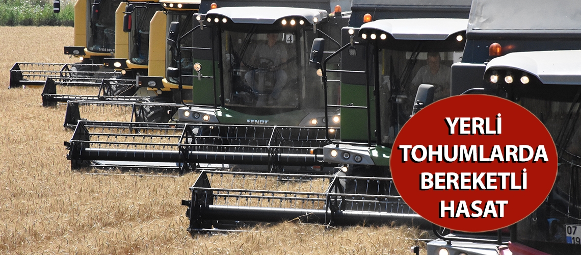 Yerli tohumlarda bereketli hasat