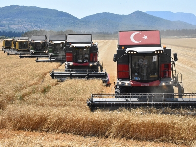 Yerli tohumlarda bereketli hasat