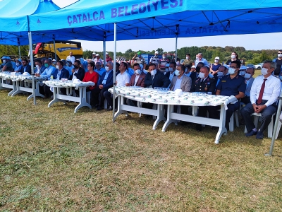 İstanbul’da damlama sulama yöntemiyle ilk çeltik hasadı…