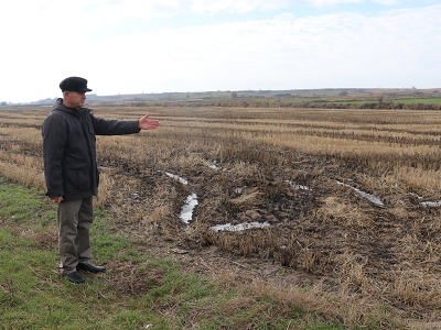 Su cimrisi “damla sulama” çeltiğe uygulandı