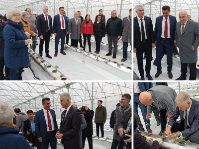 Kocaeli’de uygulanan proje tarıma örnek olacak