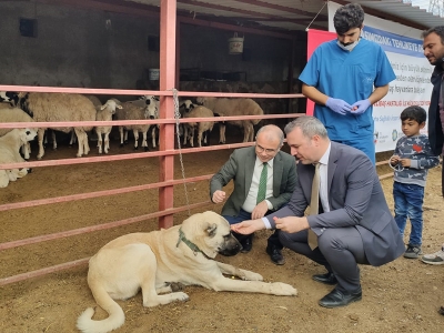 Hayvan sağlığı için önemli proje
