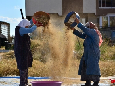 Demirci kuru fasulyesine talep artıyor