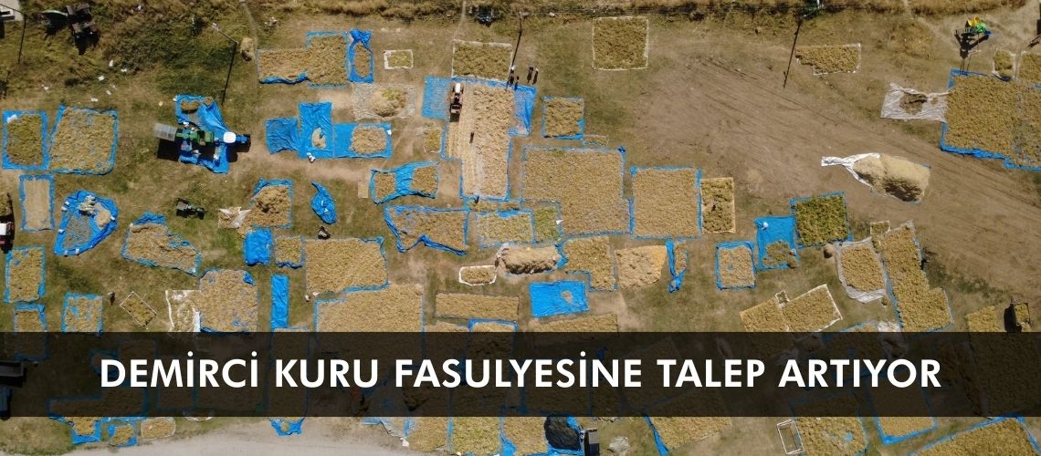 Demirci kuru fasulyesine talep artıyor