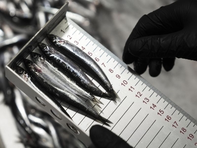 Ankara'da su ürünleri denetim sayısı 6 bini geçti