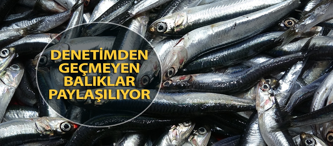 Denetimden geçmeyen balıklar paylaşılıyor