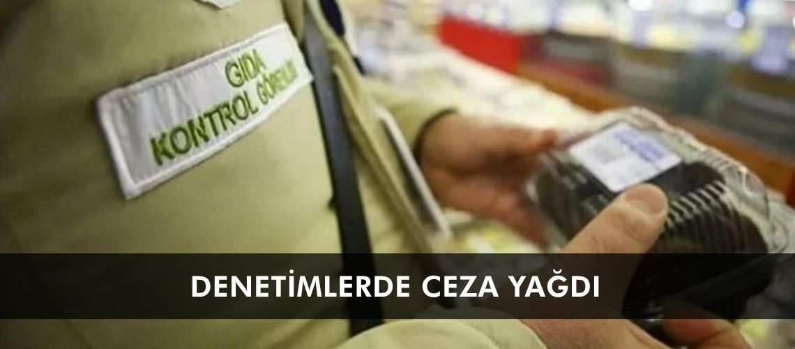 Denetimlerde ceza yağdı