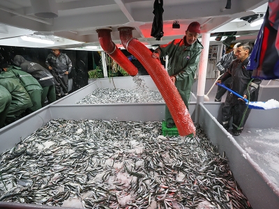 Kaliteli bir sezon için tekneler denetimde