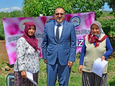 Denizli’de pembe hasat başladı