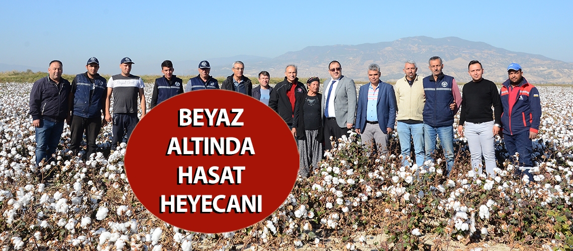 Beyaz altında hasat heyecanı